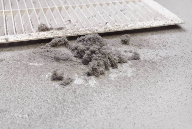 Best HVAC Air Duct Cleaning  in Waelder, TX