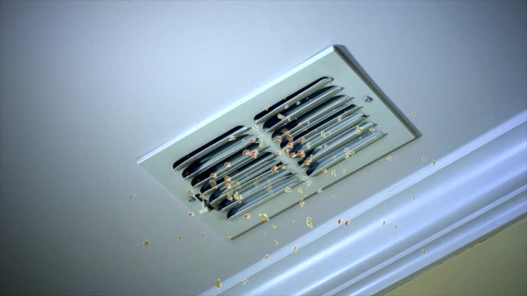 Best Local Air Duct Cleaning Services  in Waelder, TX