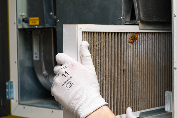 Best HVAC System Cleaning  in Waelder, TX