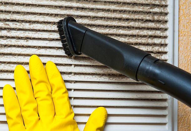 Best Dryer Vent Cleaning Services  in Waelder, TX