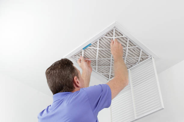 Best Dryer Vent Cleaning Services  in Waelder, TX
